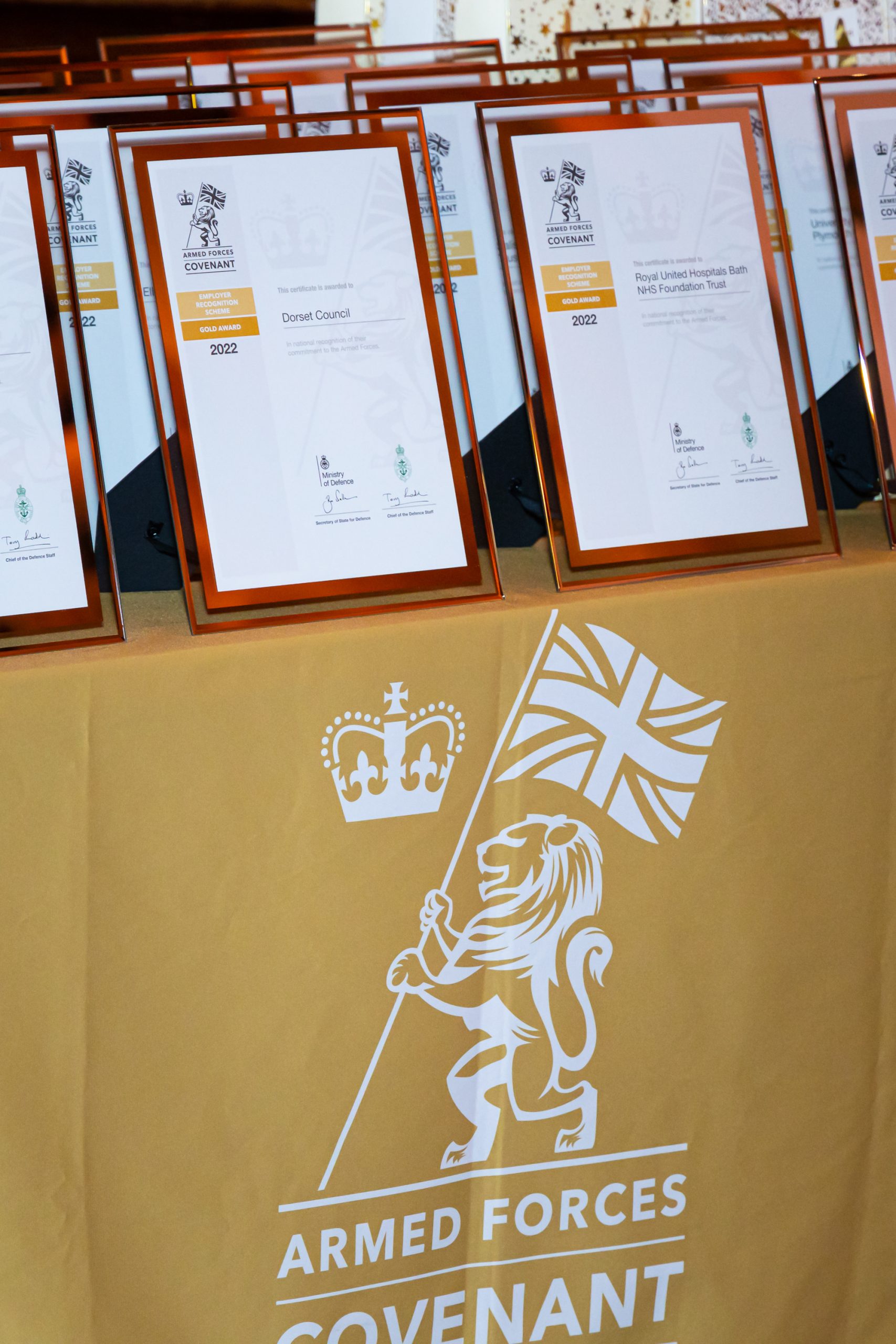 Featured image for “The Employer Recognition Scheme Awards”